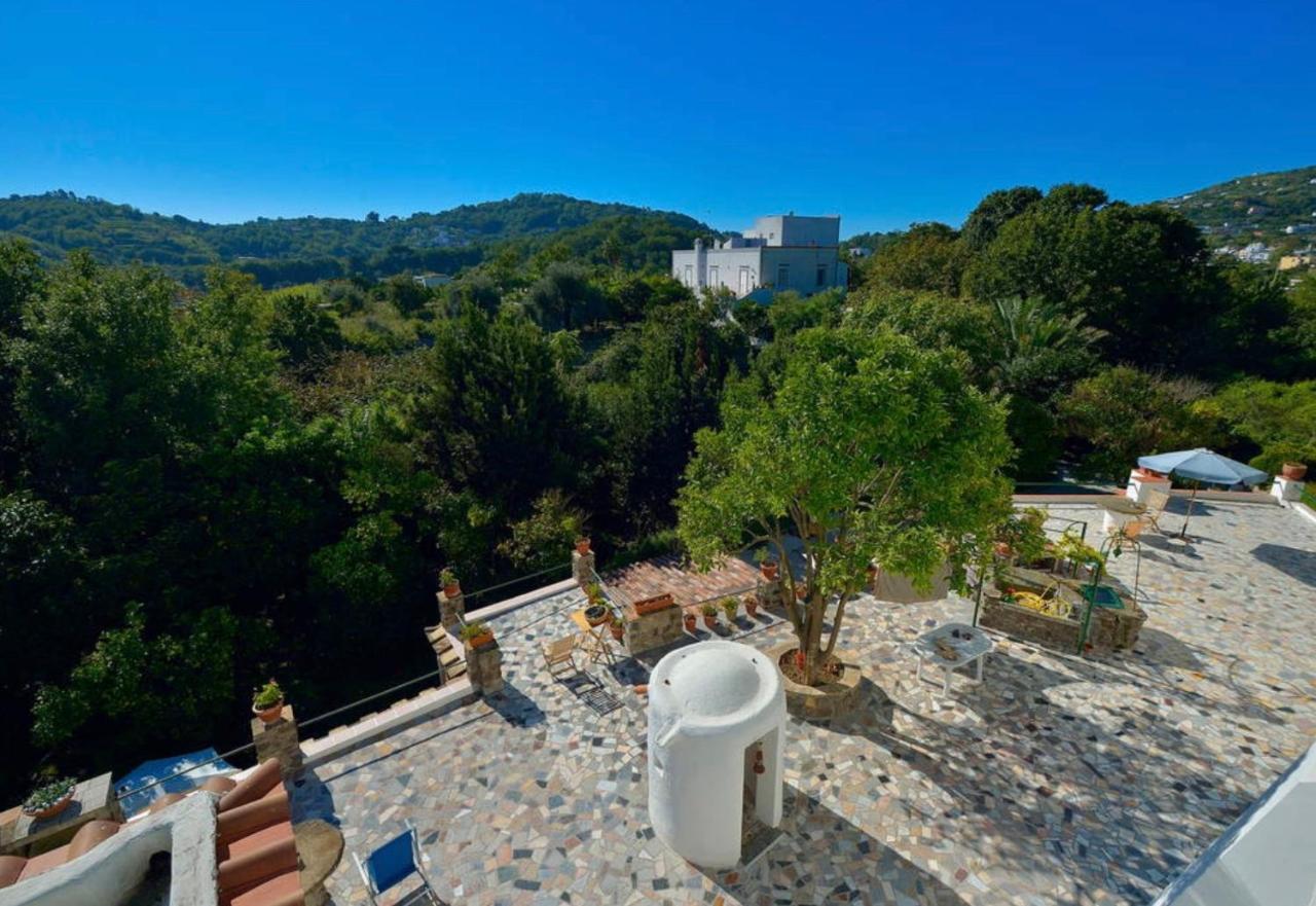 Villa Vincenzo Di Meglio Barano dʼIschia Extérieur photo