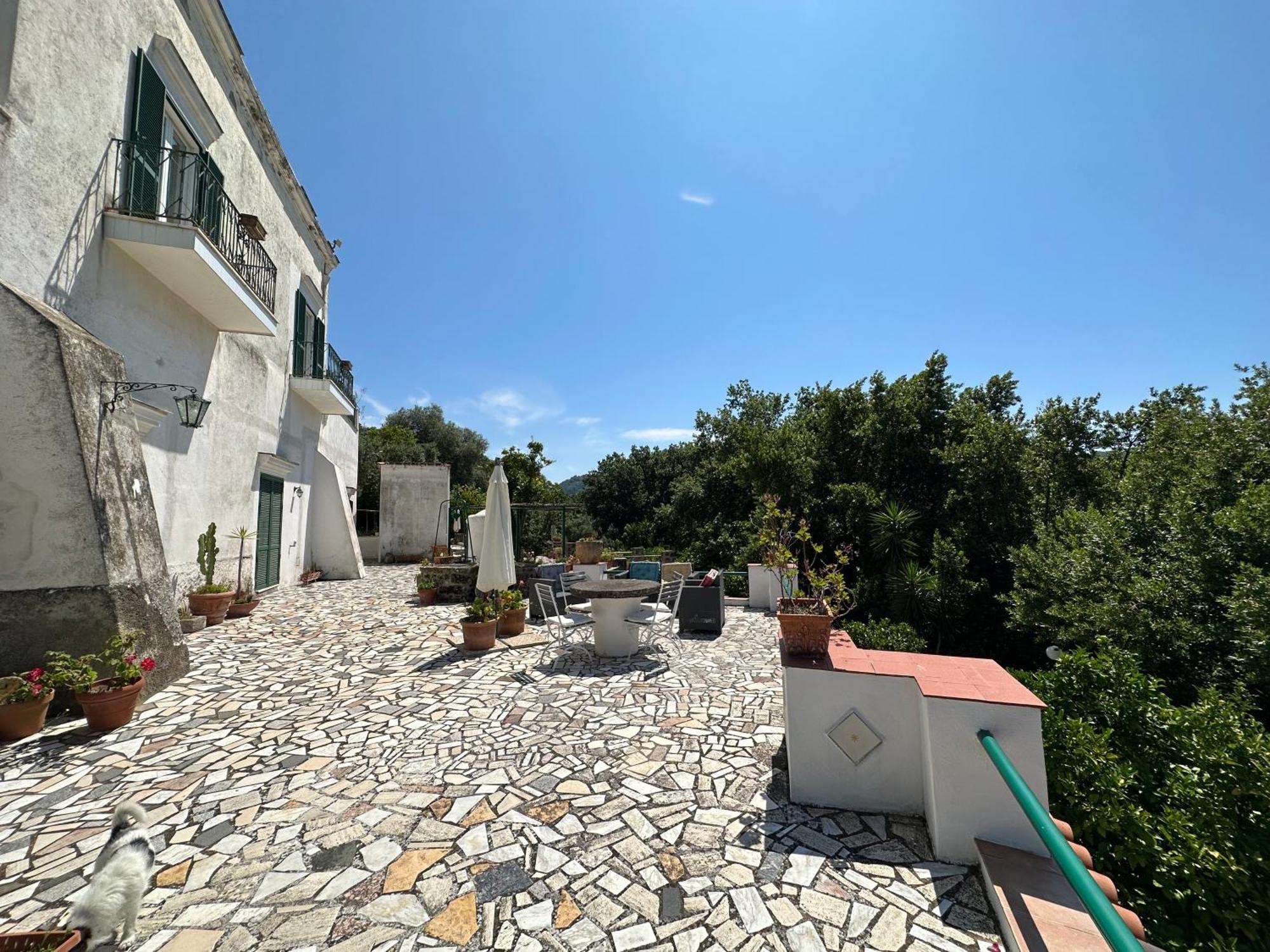 Villa Vincenzo Di Meglio Barano dʼIschia Extérieur photo