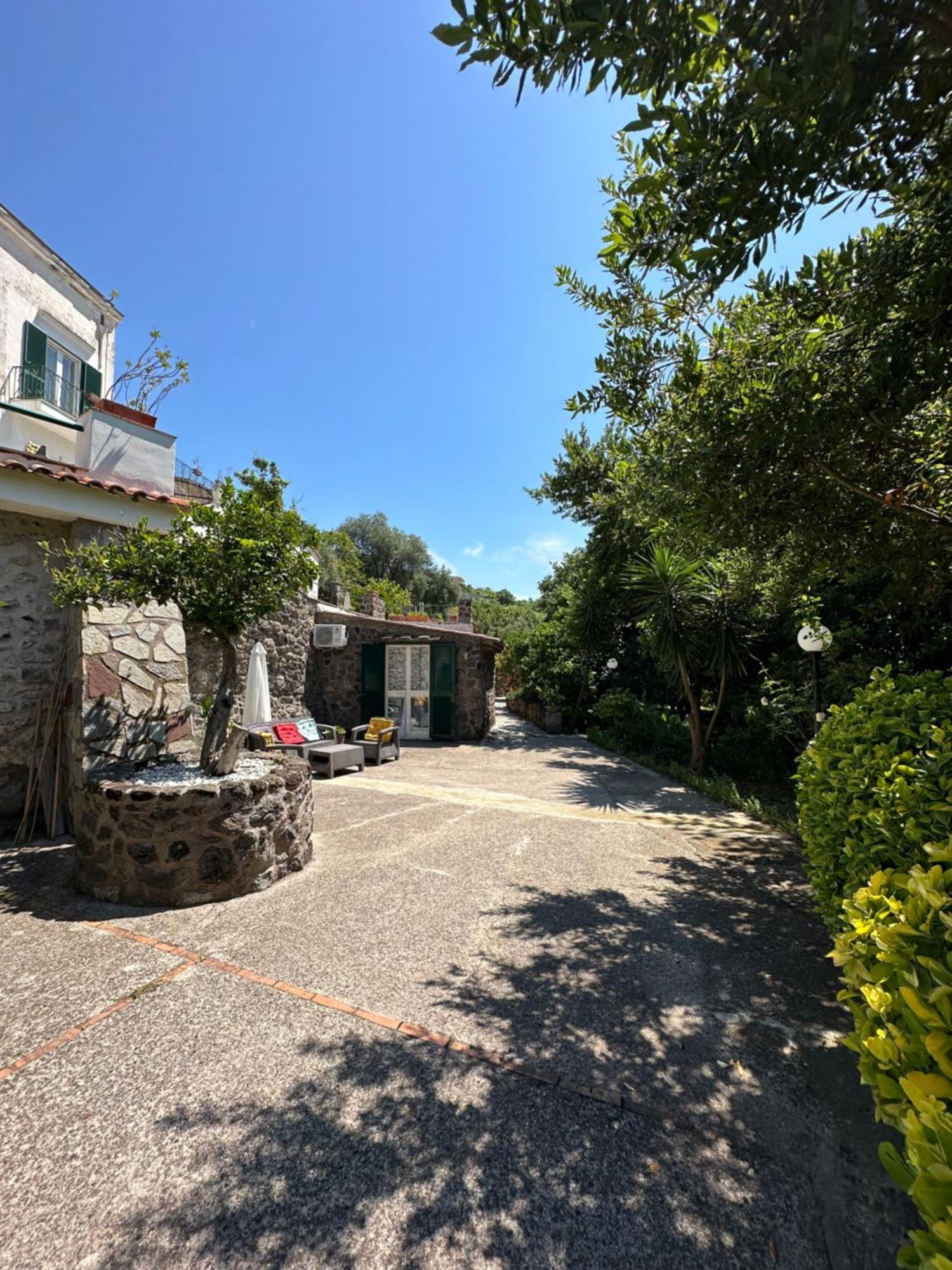 Villa Vincenzo Di Meglio Barano dʼIschia Extérieur photo