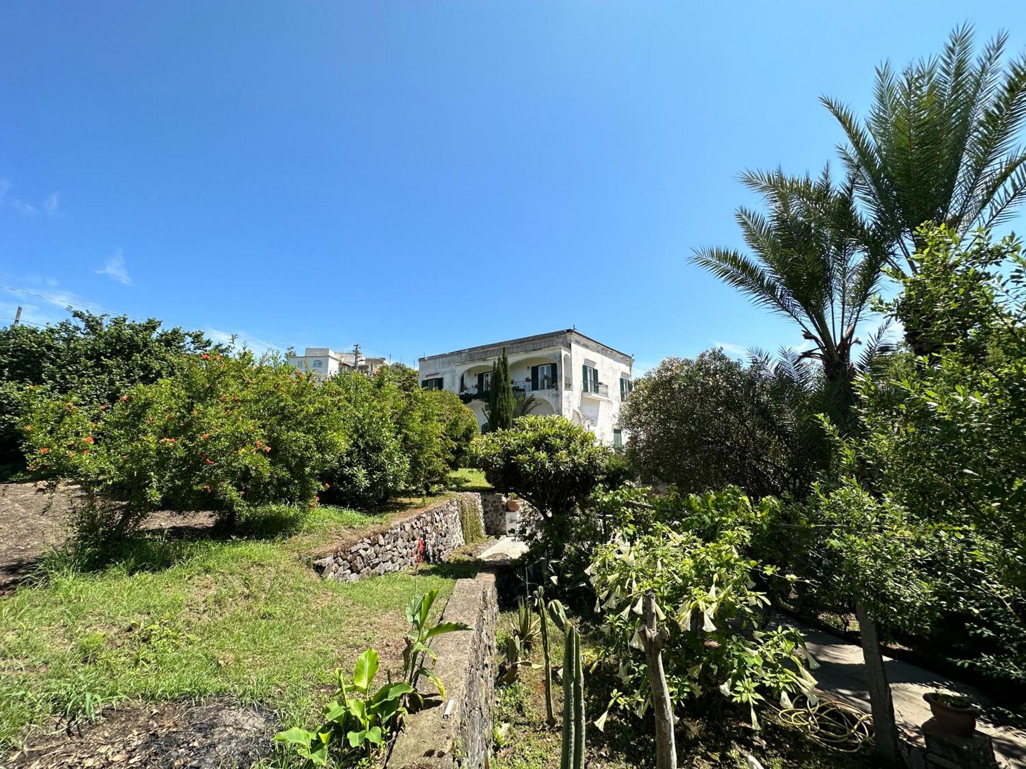 Villa Vincenzo Di Meglio Barano dʼIschia Extérieur photo