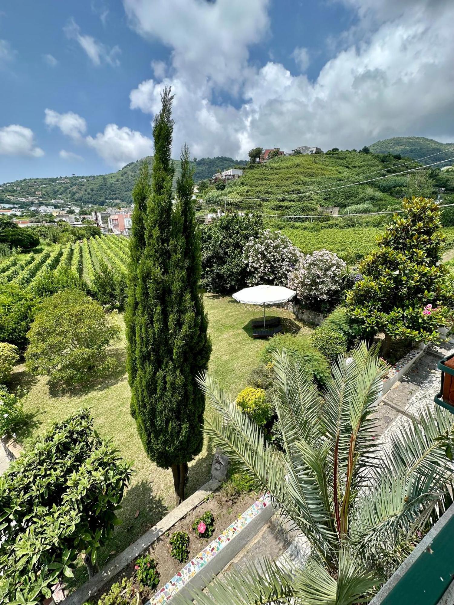 Villa Vincenzo Di Meglio Barano dʼIschia Extérieur photo