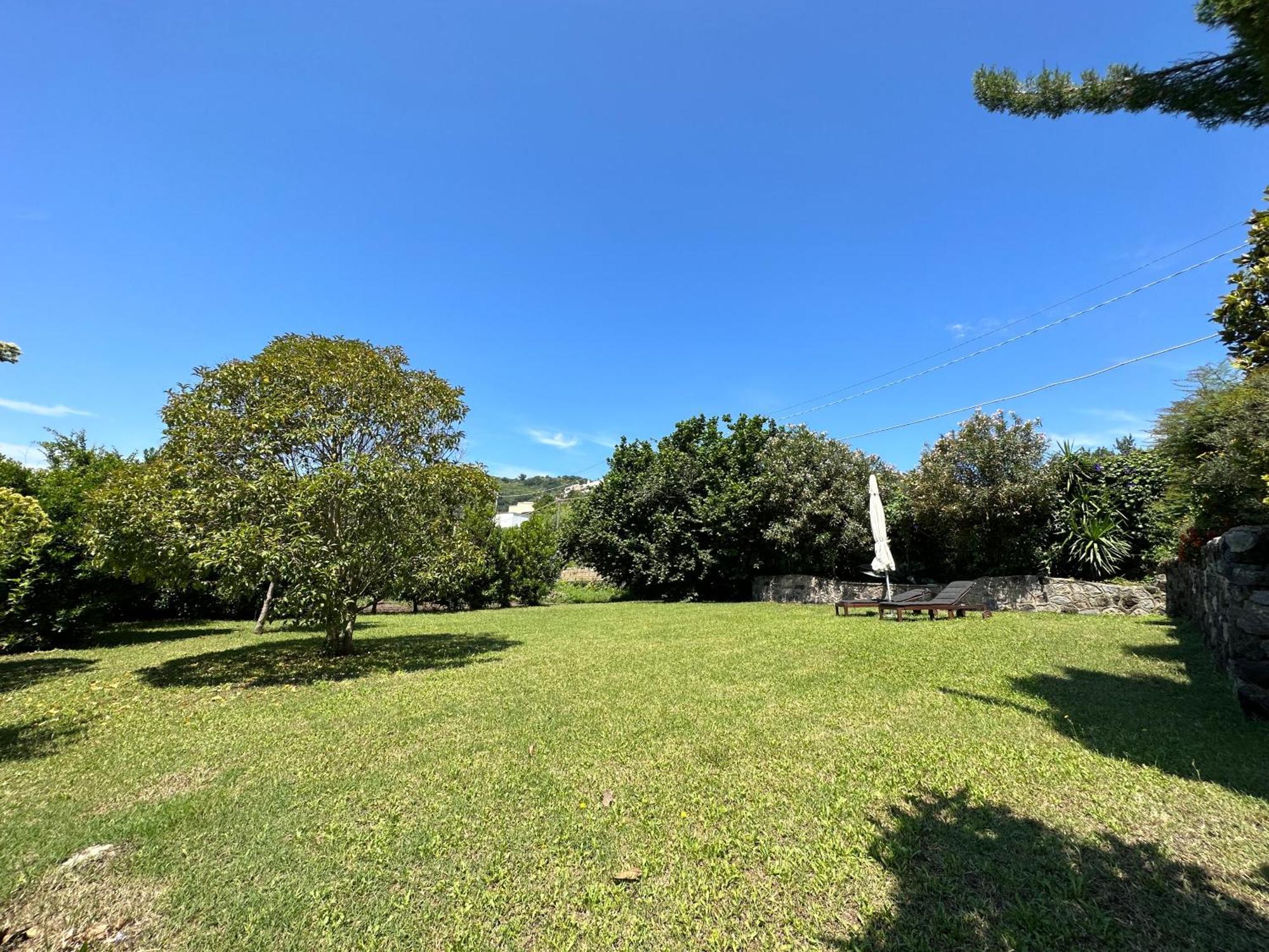 Villa Vincenzo Di Meglio Barano dʼIschia Extérieur photo