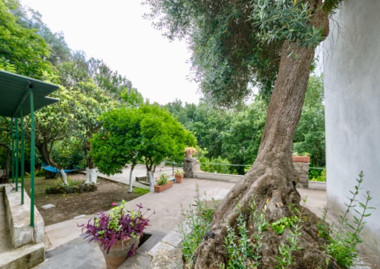 Villa Vincenzo Di Meglio Barano dʼIschia Extérieur photo