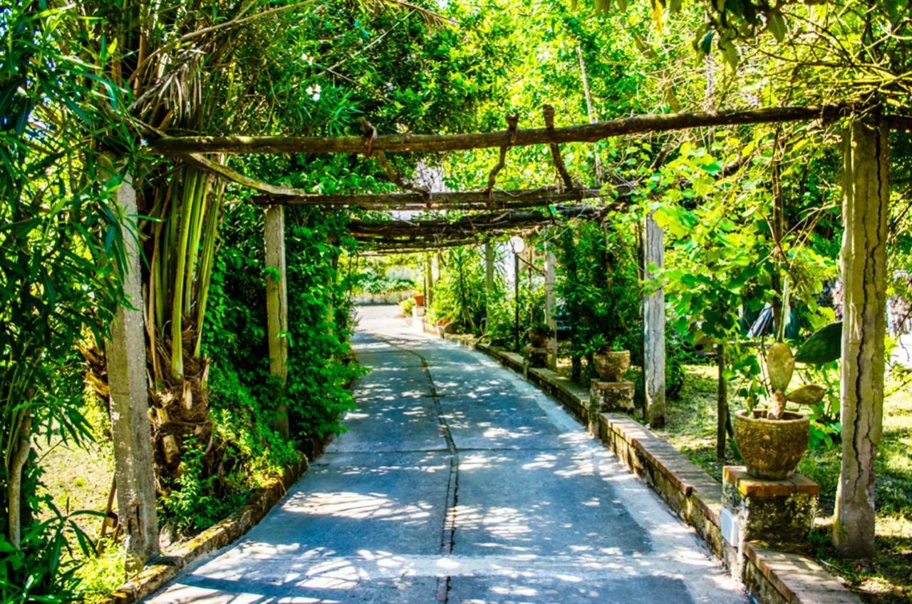 Villa Vincenzo Di Meglio Barano dʼIschia Extérieur photo