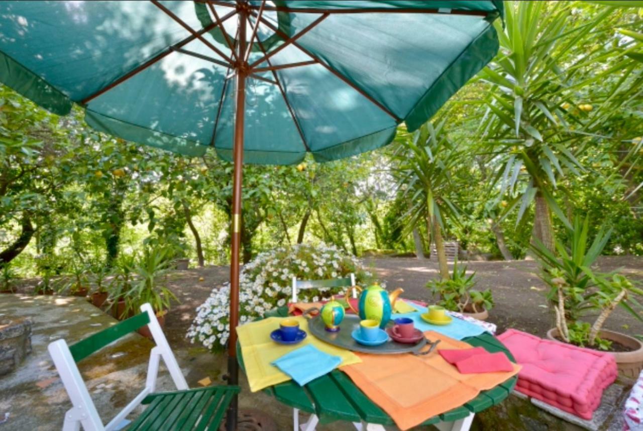 Villa Vincenzo Di Meglio Barano dʼIschia Extérieur photo