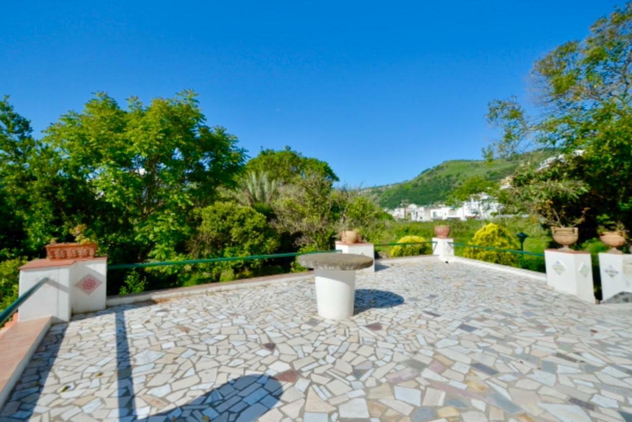 Villa Vincenzo Di Meglio Barano dʼIschia Extérieur photo